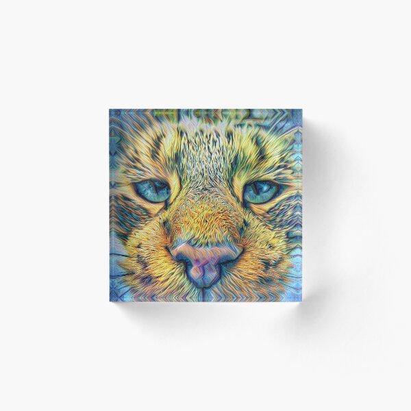Acrylic Block