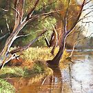 Wimmera River by Lynda Robinson