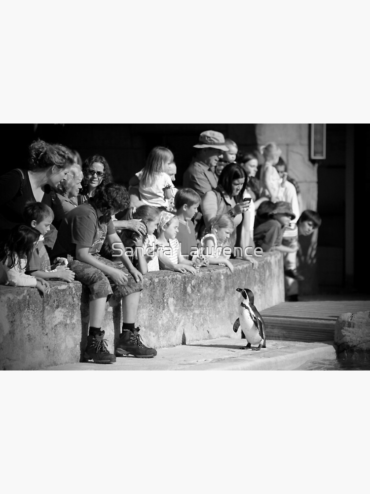 Who's Looking at Who? by sandrafarrow