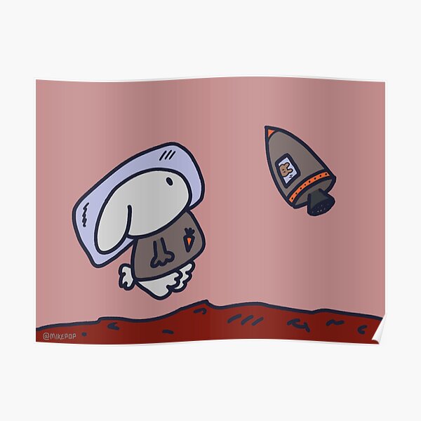 Bunnies In Space Poster