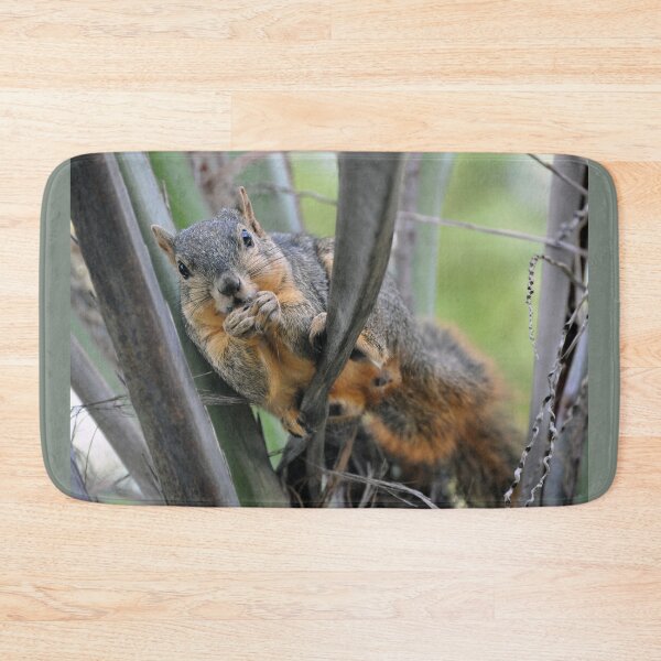 Item preview, Squirrel designed and sold by Savannah Gibbs.