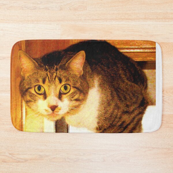 Artikelvorschau, Fenster Cat entworfen und verkauft von Carlo Varo.