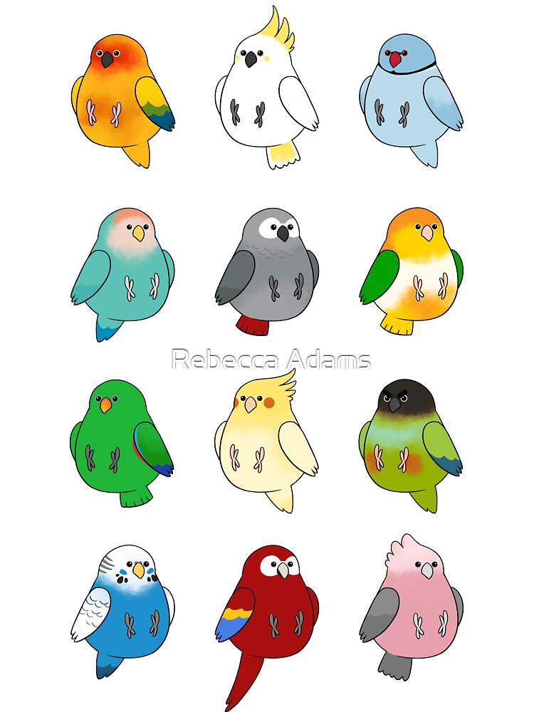 Birds of a Feather Birds of a Feather