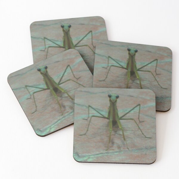 Item preview, Friendly Mantis 1 designed and sold by Creating Curiosity.