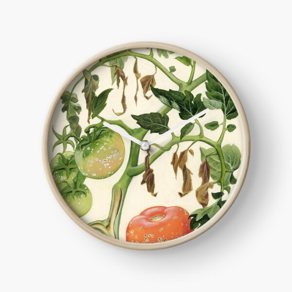 Vista previa del artículo con la obra «Cancro Bacteriano de Tomates», diseñado y vendido por BiosecurityColl.