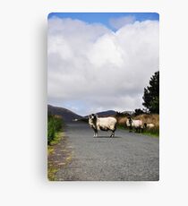 Road Block Canvas Print