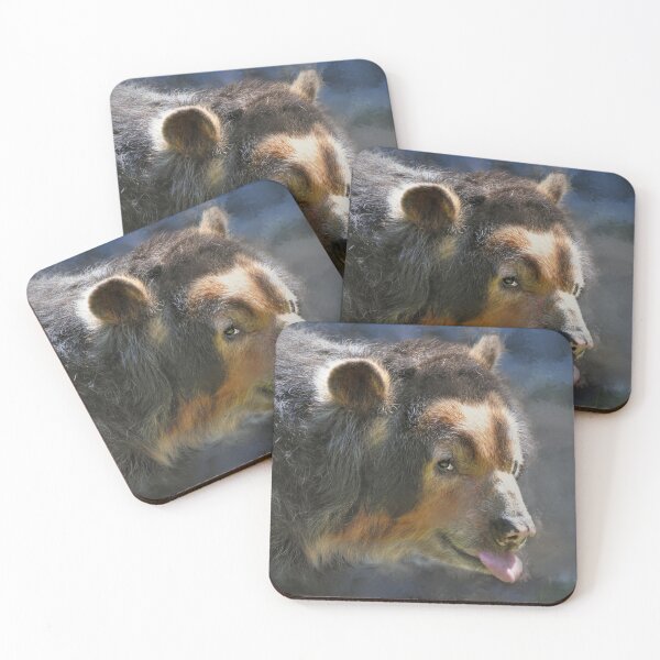 Item preview, Andean Bear designed and sold by Savannah Gibbs.