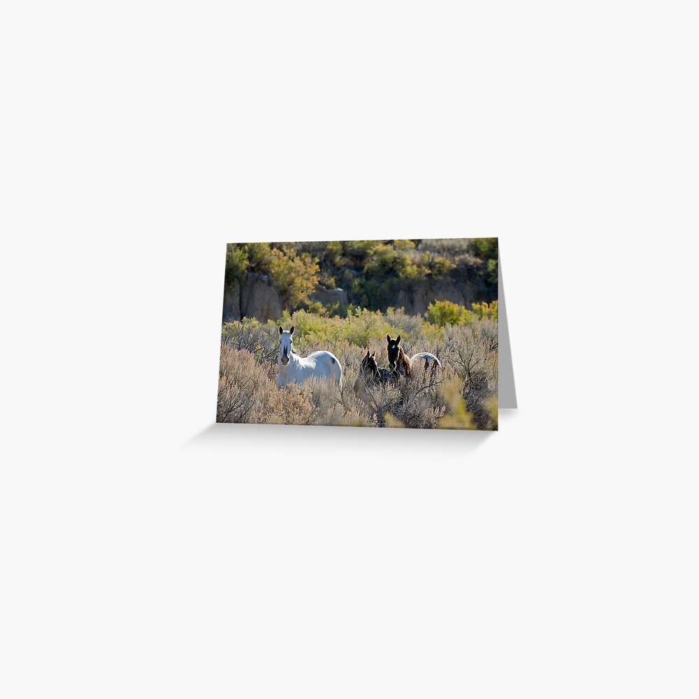 The Lame Grey Mare... Greeting Card