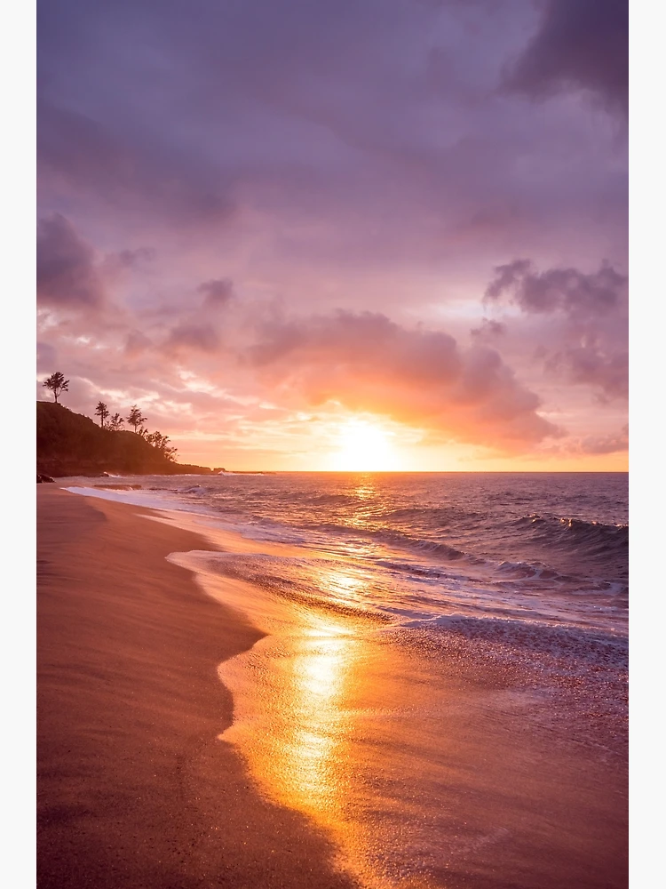 トリシア・ブチャナン・ベンソン、【Stich Sunset】 Sunset Palm Beach Ocean Landscape Cross Stitch Pattern