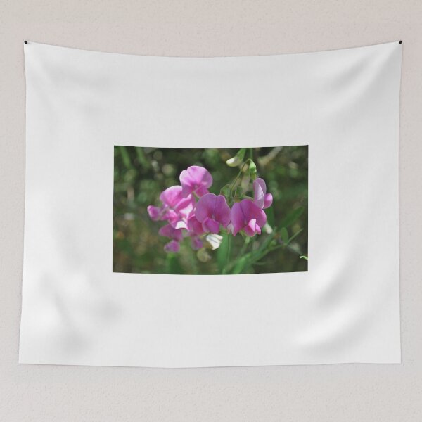 Item preview, Sweet Pea designed and sold by Tamara McDonnell.