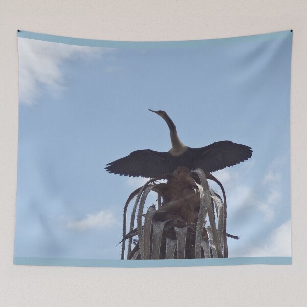 Item preview, Anhinga Drying It's Wings by Orikall designed and sold by HippieWorks.