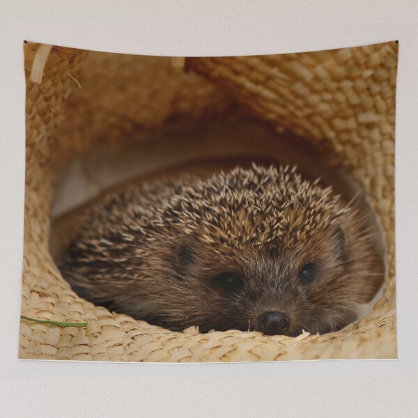Item preview, Hedgehogs ~ come cuddle ~ designed and sold by laura-S.