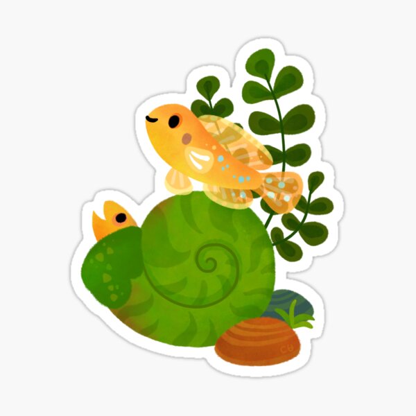 Shell Dwellers - Ocellatus Sticker