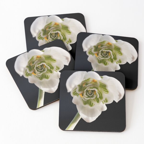 Item preview, Inside a Snowdrop Flower - Macro Shot designed and sold by MadPanda.