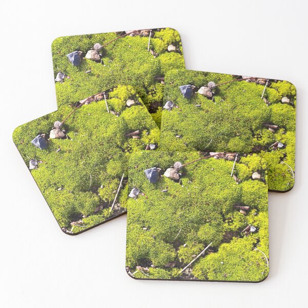 Item preview, Moss And Its Valley  designed and sold by Joy Watson - Natural Light Photography .