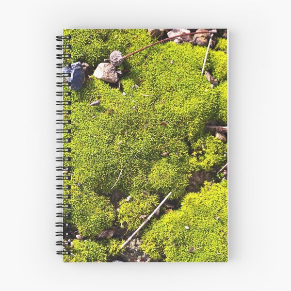 Item preview, Moss And Its Valley  designed and sold by Joy Watson - Natural Light Photography .