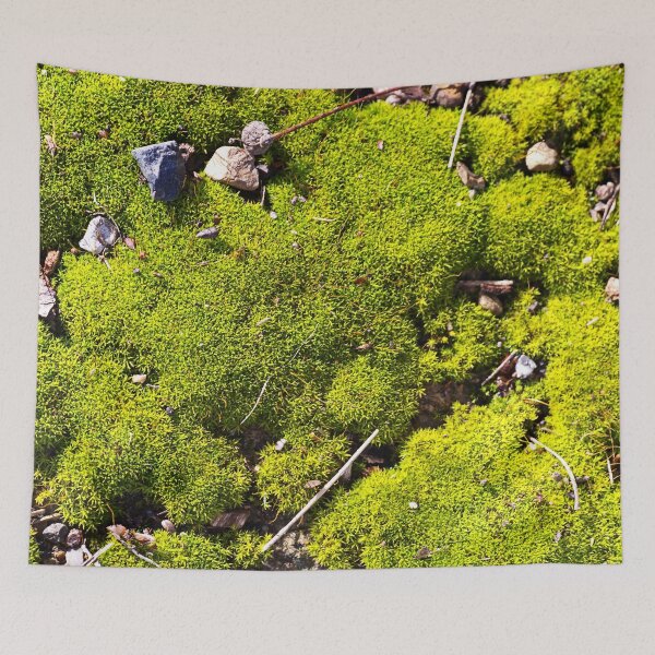 Item preview, Moss And Its Valley  designed and sold by Joy Watson - Natural Light Photography .