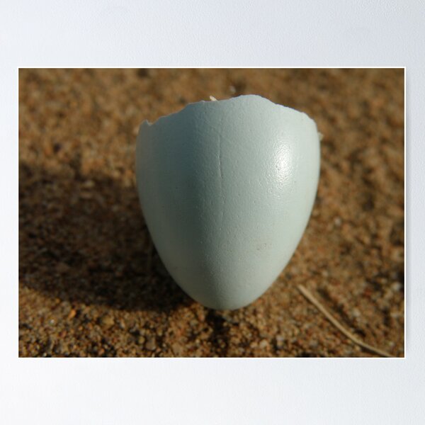 Item preview, Not all it's cracked up to be. designed and sold by CapturedByKylie.