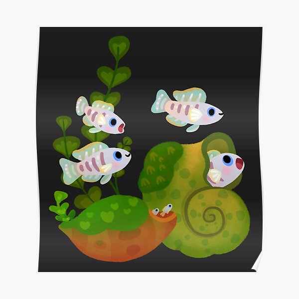 Shell Dwellers - multifasciatus Poster