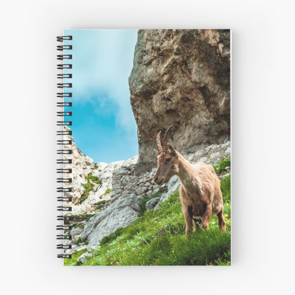 Item preview, Steinbocks in the Julian alps designed and sold by zakaz86.