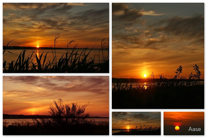 “Sunset Collage” by Aase | Redbubble