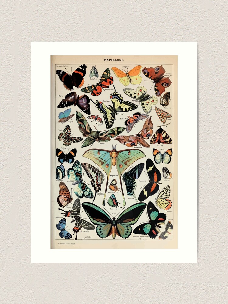 Alternate view of Adolphe Millot papillons pour tous Art Print