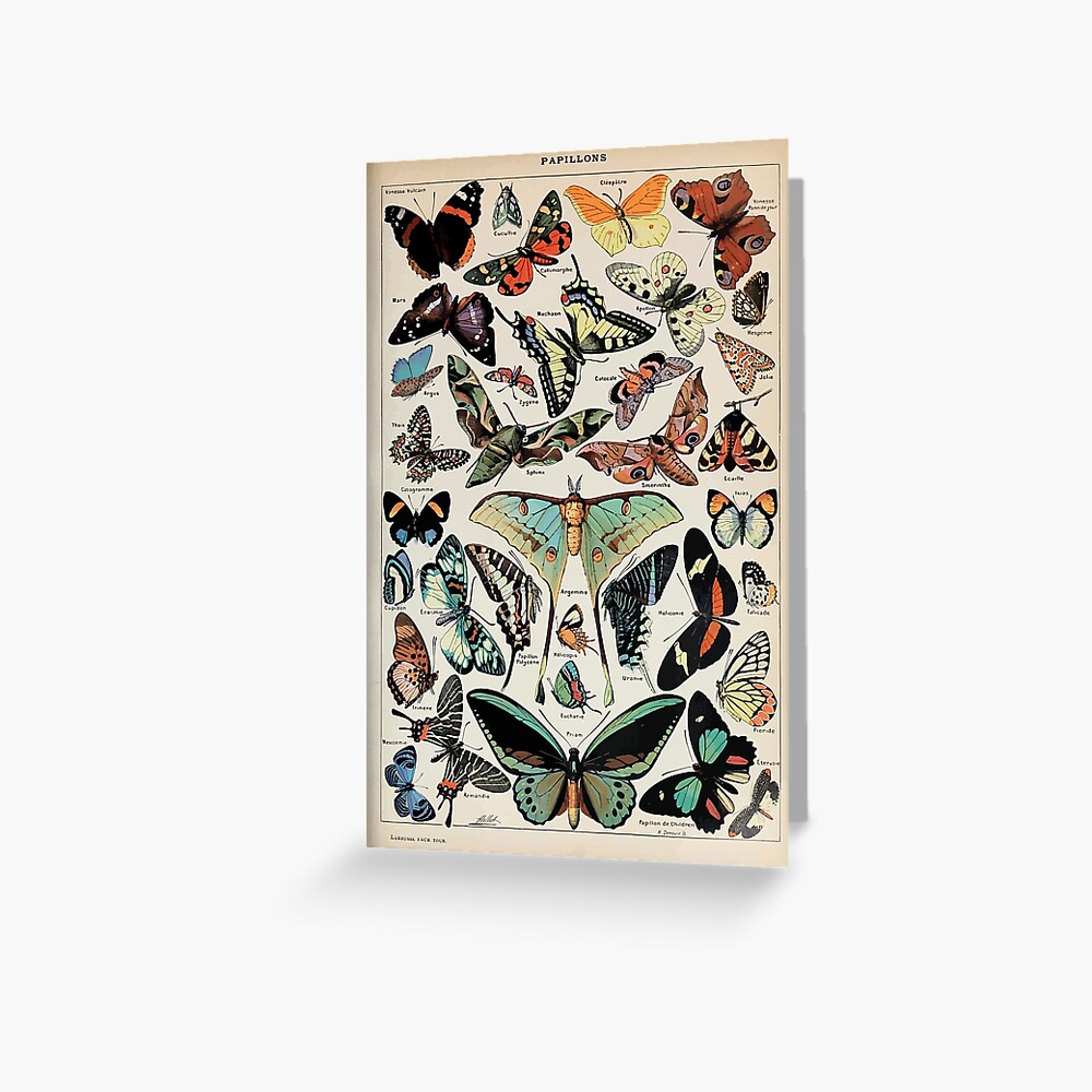 Adolphe Millot papillons pour tous Greeting Card