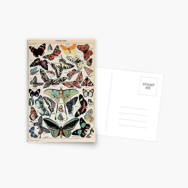 Adolphe Millot papillons pour tous Postcard