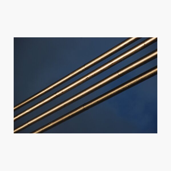 Anzac Bridge Cables Photographic Print