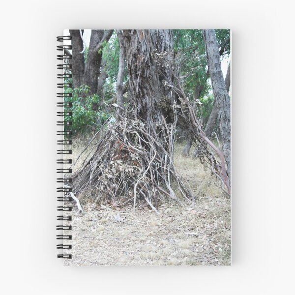 Item preview, Still Life by Nature designed and sold by Maggie Hegarty.