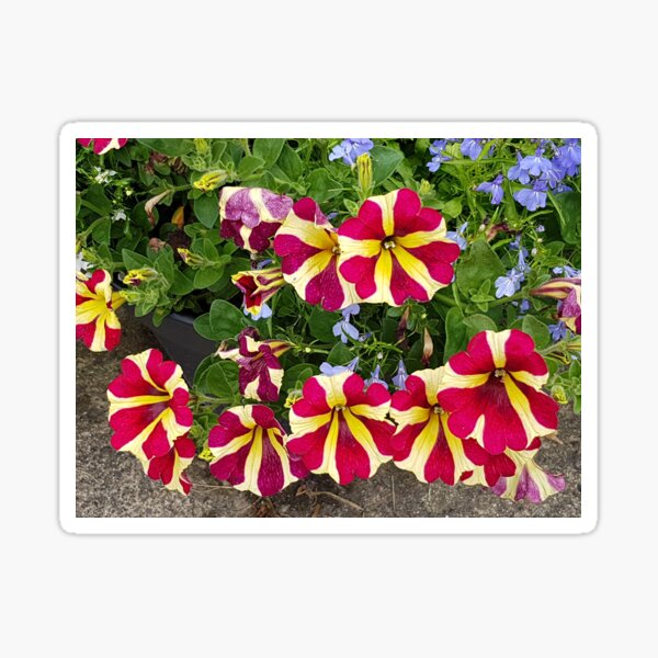 Umbrella Flowers Sticker