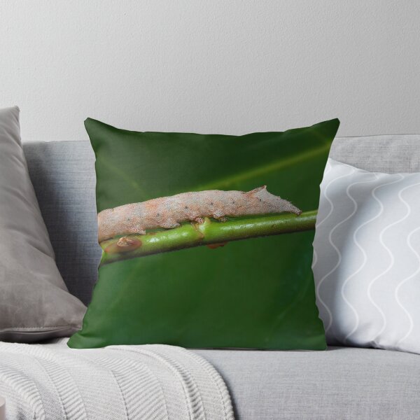 Item preview, Zale Lunate Caterpillar on a rose stalk designed and sold by Eyal Nahmias.