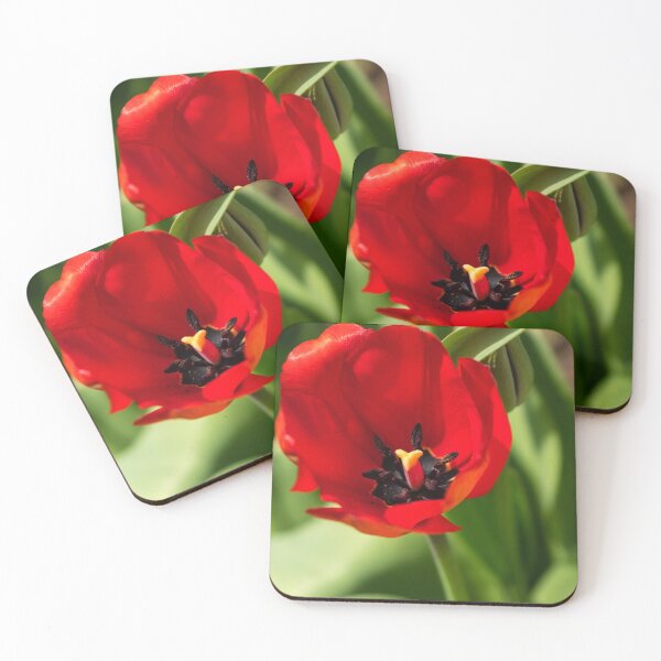 Item preview, Red Beauty designed and sold by mljdwhite.