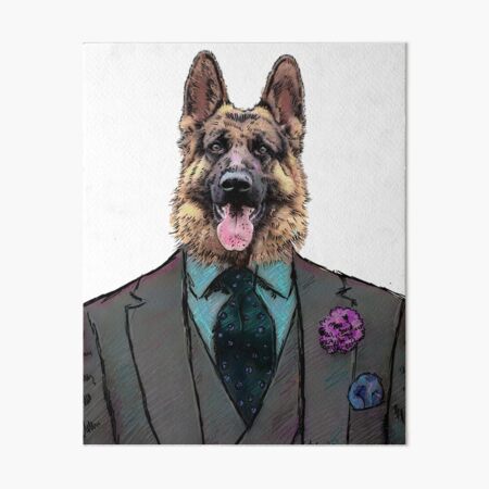 german shepherd with clothes