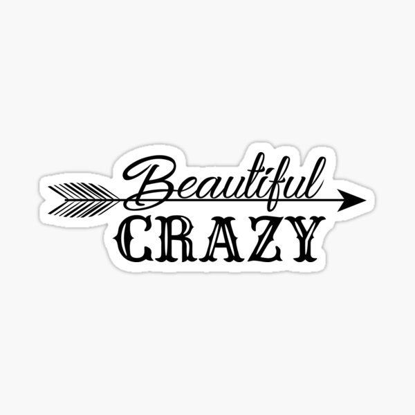 beautiful crazy lyrics  Art Print for Sale by thelittleflower