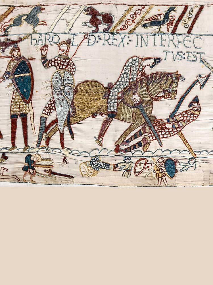 Bayeux Tapestry. King Harold is killed. Arrow in eye. by TOMSREDBUBBLE
