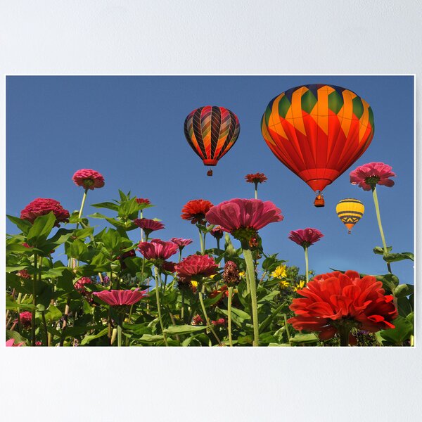 Item preview, Celebrate Color ! designed and sold by Corinne Noon.