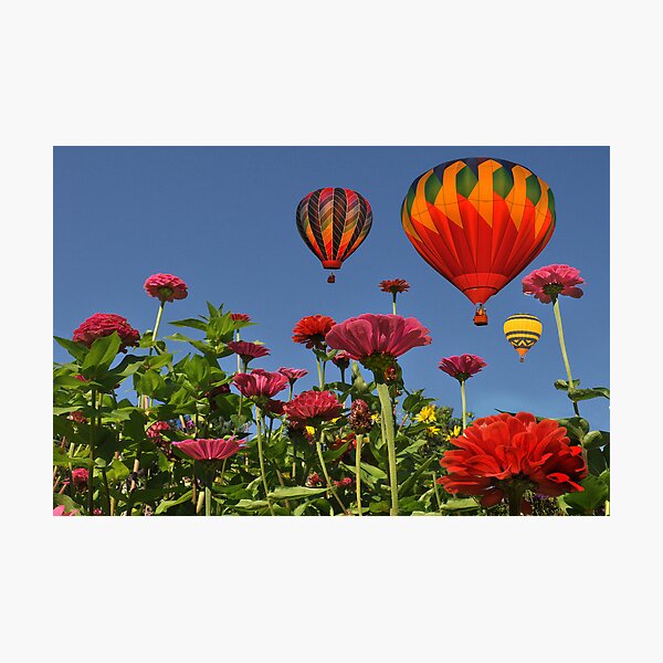 Artikelvorschau, Celebrate Color ! entworfen und verkauft von Corinne Noon.