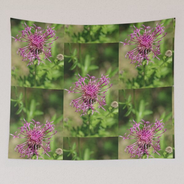 Item preview, Natur, Pflanze, Blüte, lilia, Fotografie, BebiCervin designed and sold by BebiCervin.