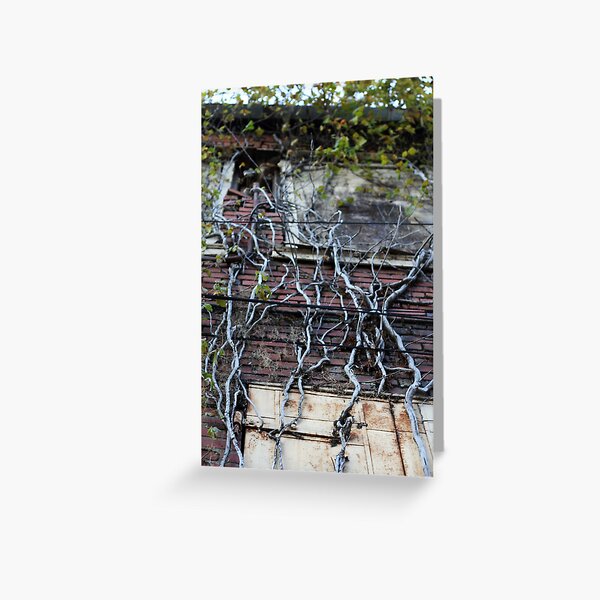 Vines Greeting Card