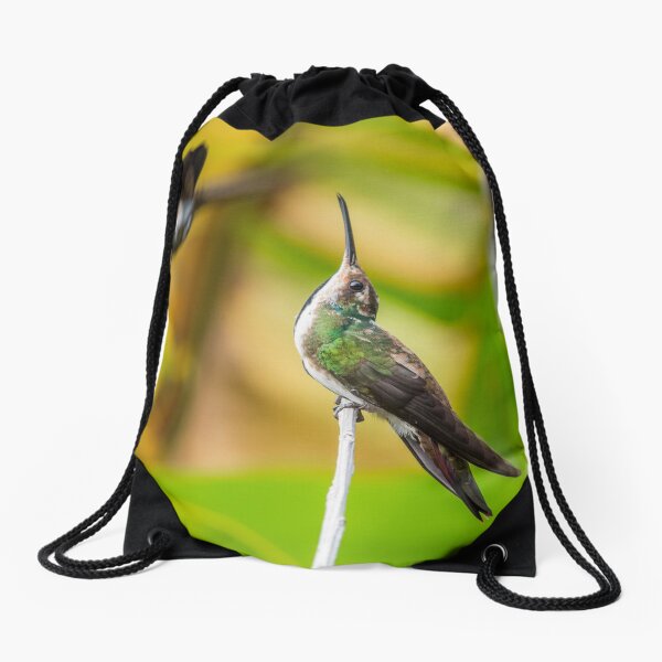 Item preview, Strike a pose - Black throated mango designed and sold by Rachel Lee Young - Land of the Hummingbird.