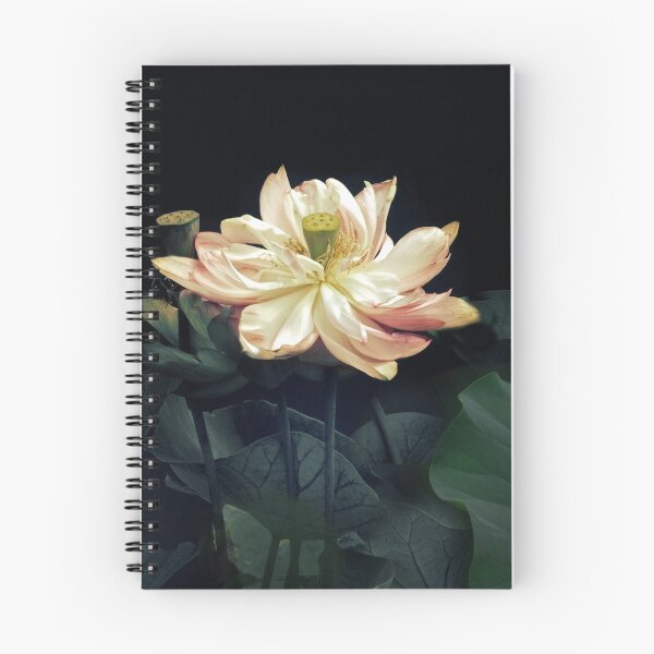 Item preview, Lotus Nelumbo designed and sold by Jessica Jenney.