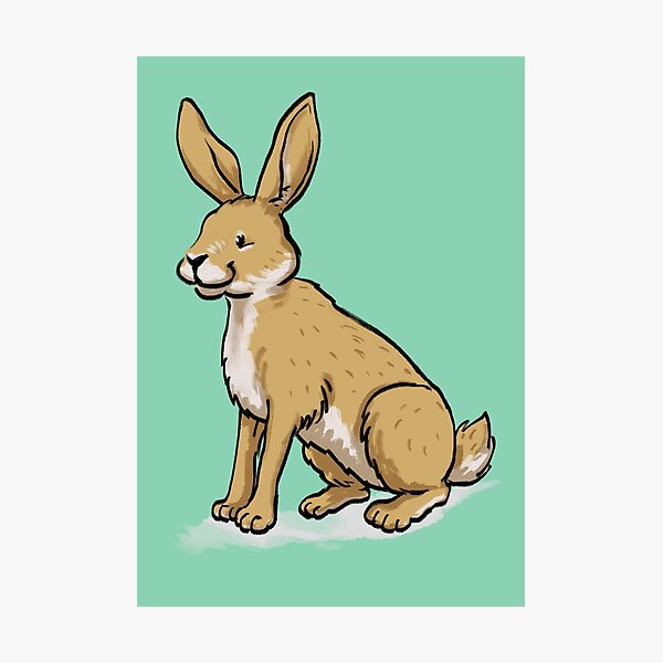 Hase Fotodruck
