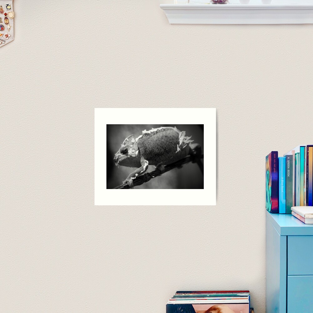What are you looking at? Art Print