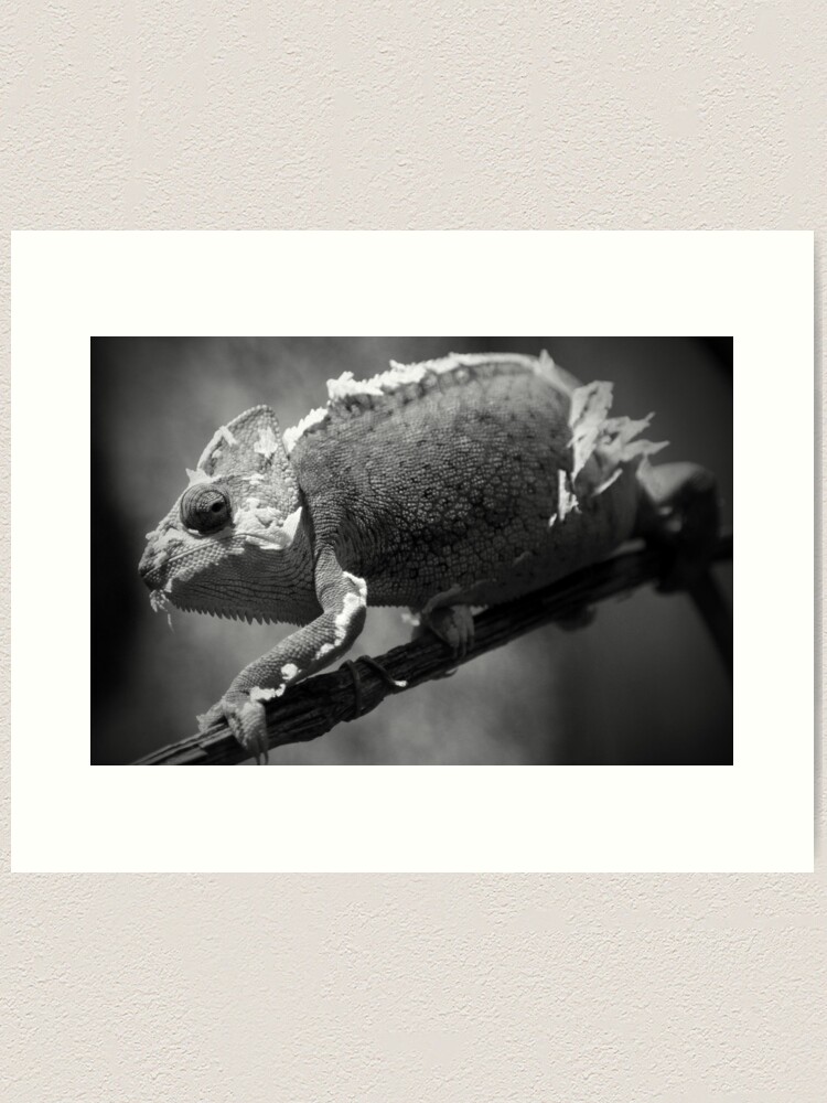Alternate view of What are you looking at? Art Print