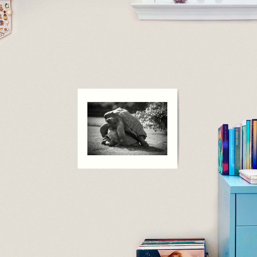Love in a Wildlife Park Art Print
