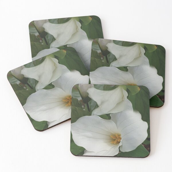 Item preview, Trillium 123 designed and sold by tinatippettshop.