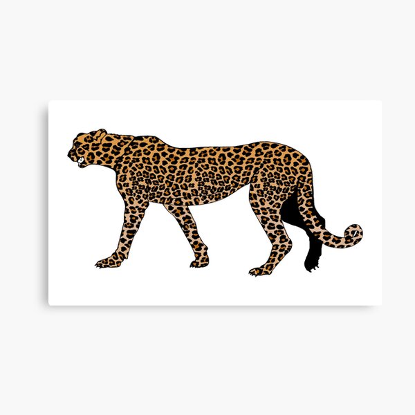 Leopard print Canvas Print