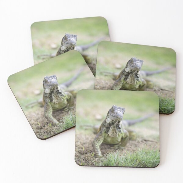 Item preview, Iguana in Guayaquil, Ecuador designed and sold by Jeanette Dobrindt.
