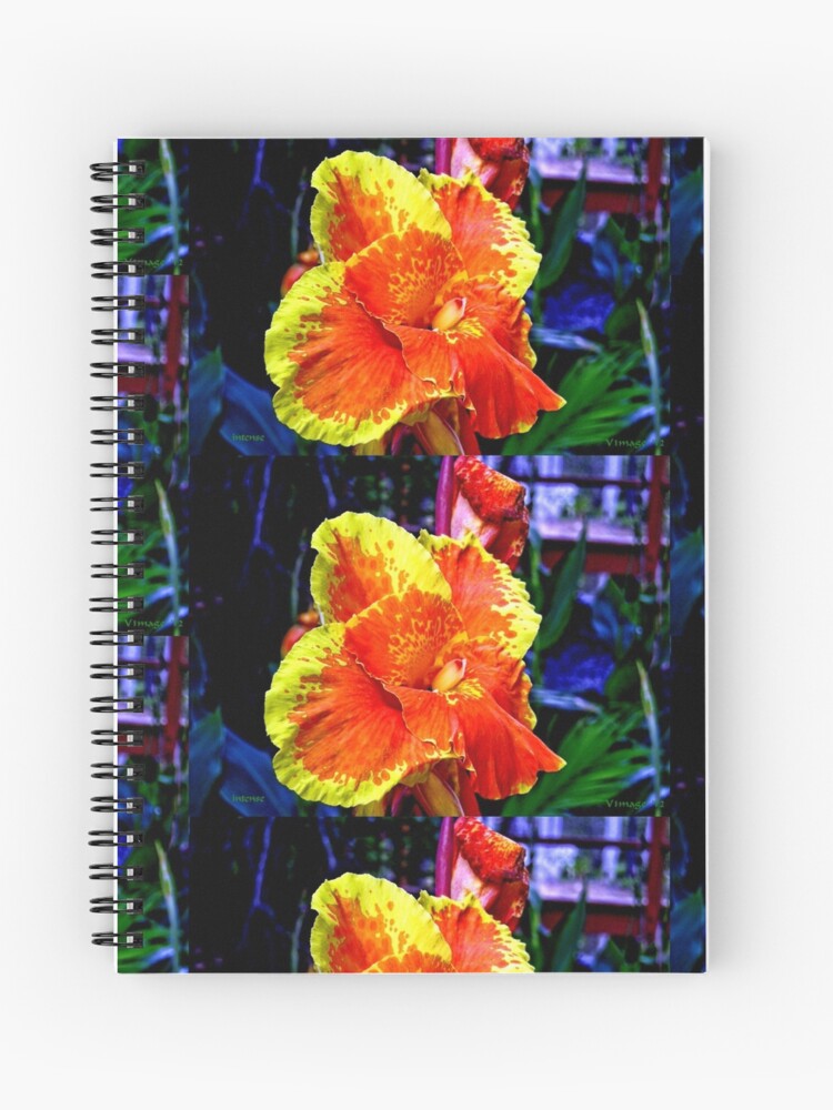Thumbnail 1 of 3, Journal, Intense designed and sold by V1mage.